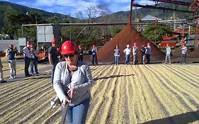 Valle Verda 2*